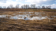 Powódź minęła, problemy zostały. Rolnicy wciąż walczą o rekompensaty Powódź minęła, problemy zostały. Rolnicy wciąż walczą o rekompensaty